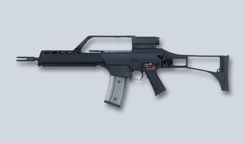G36