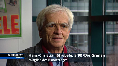 Hans-Christian Strbele, Mitglied des Bundestages